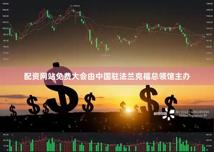 配资网站免费　　大会由中国驻法兰克福总领馆主办