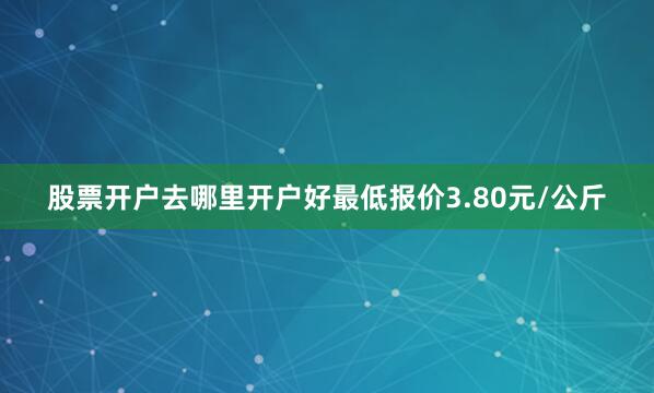 股票开户去哪里开户好最低报价3.80元/公斤